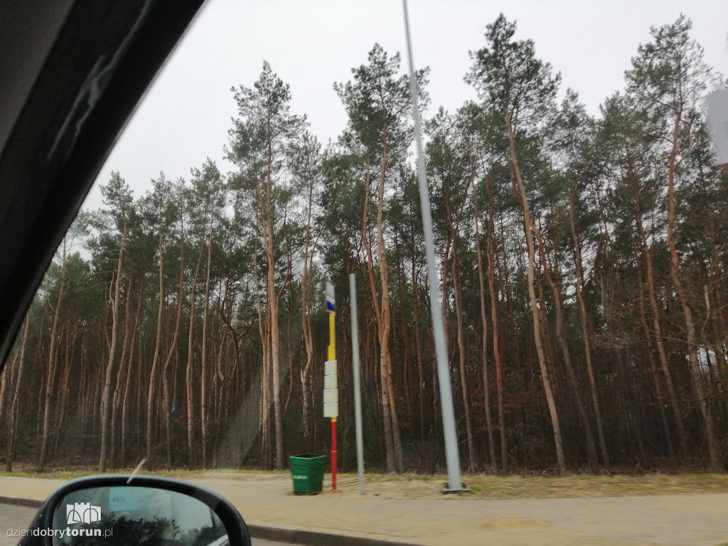 SIP na przystankach autobusowych
