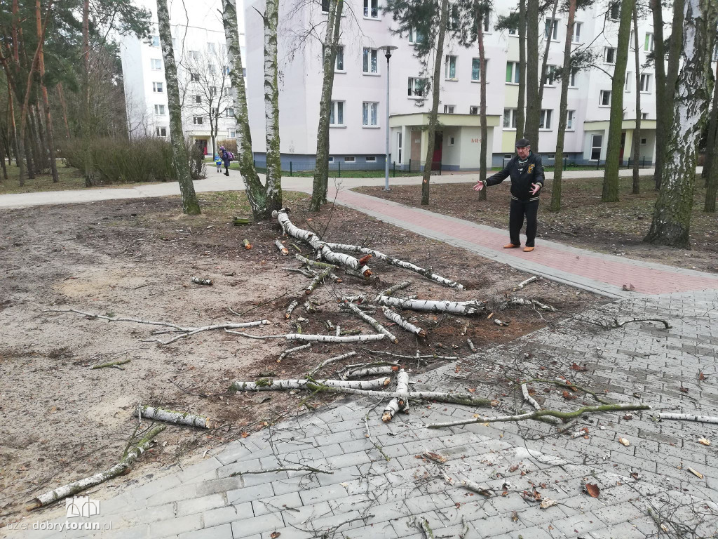 Drzewo mogło zabić pieszych ze Skarpy