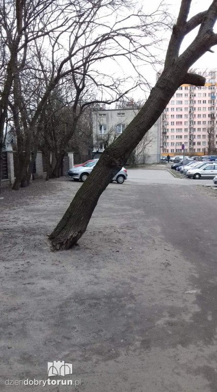 Wichura dała się we znaki na Głowackiego