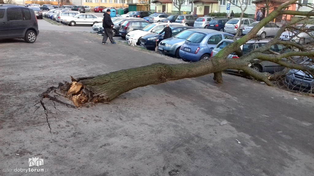 Wichura dała się we znaki na Głowackiego