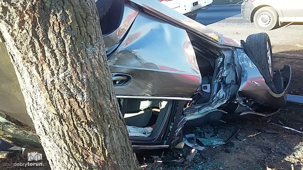 Dachowanie w Brzeźnie pod Toruniem