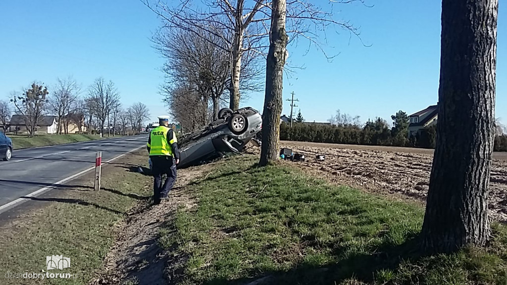 Dachowanie w Brzeźnie pod Toruniem