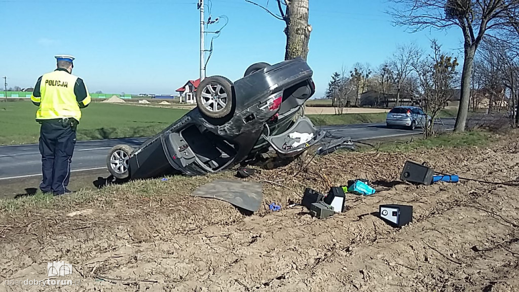 Dachowanie w Brzeźnie pod Toruniem