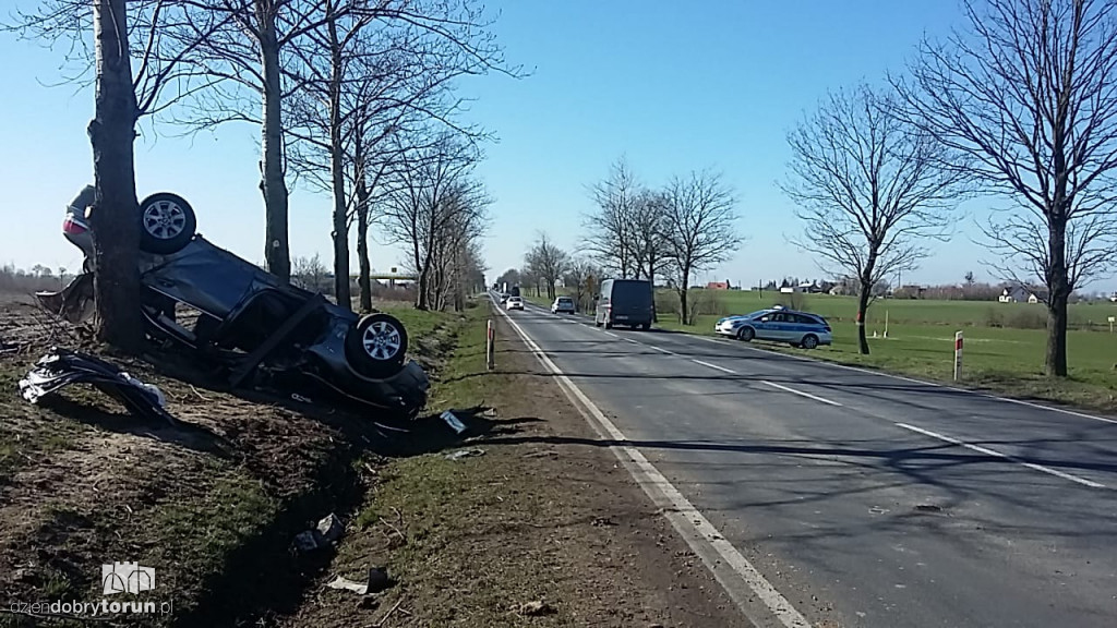Dachowanie w Brzeźnie pod Toruniem