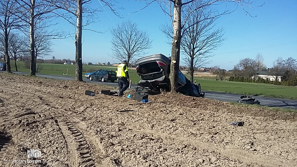 Dachowanie w Brzeźnie pod Toruniem