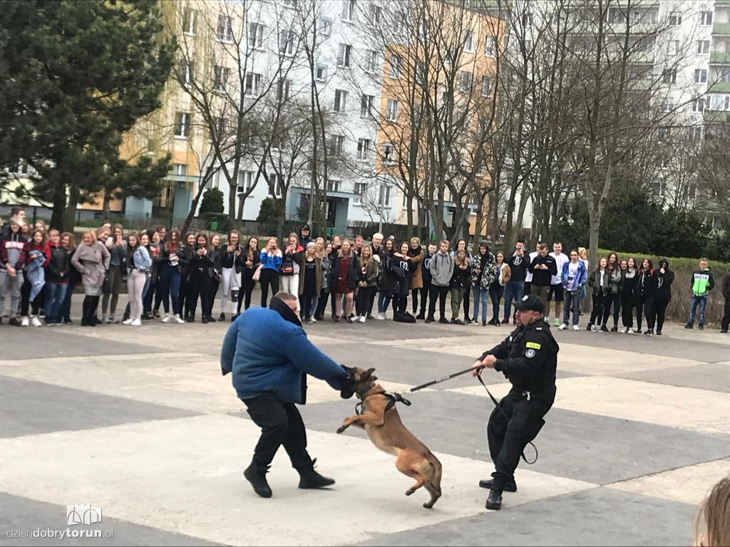 Drzwi otwarte w drugim LO  w Toruniu
