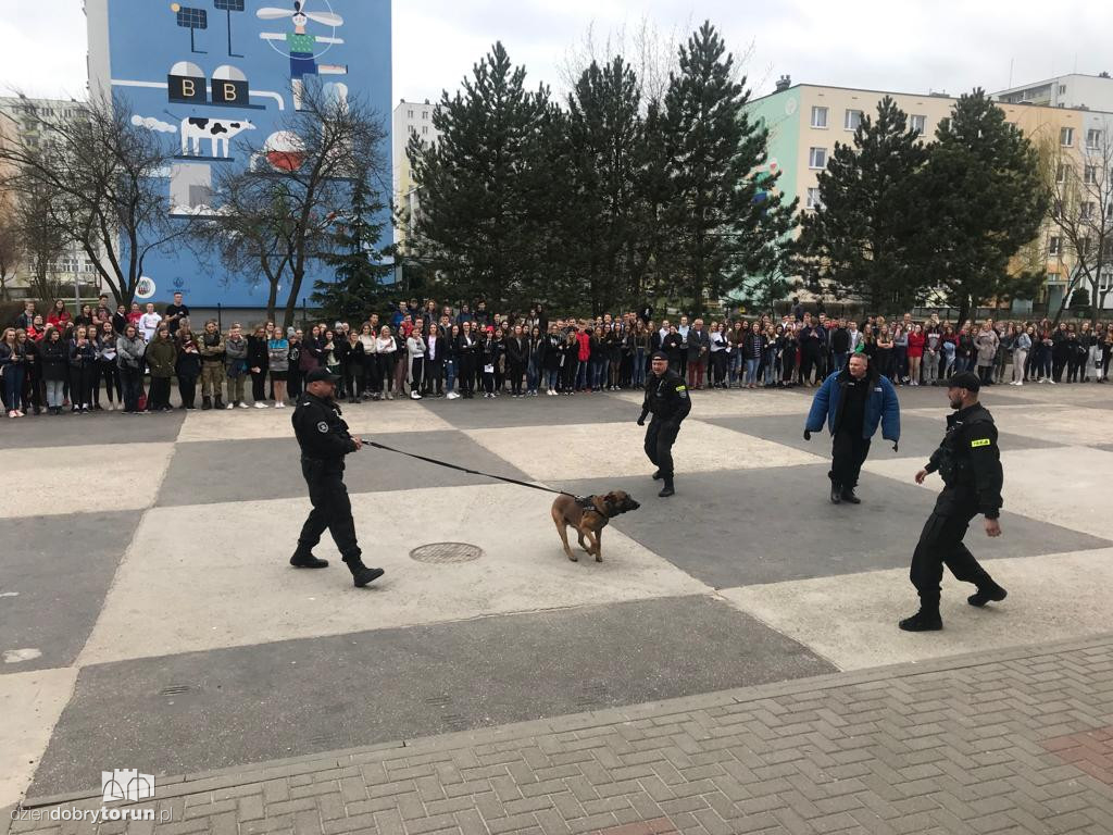 Drzwi otwarte w drugim LO  w Toruniu