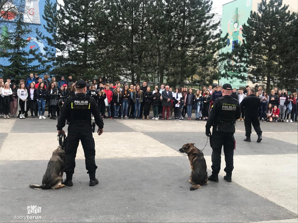 Drzwi otwarte w drugim LO  w Toruniu