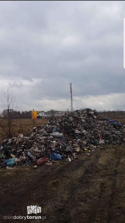 Kierowca przyłapany na gorącym uczynku?