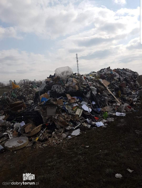 Kierowca przyłapany na gorącym uczynku?