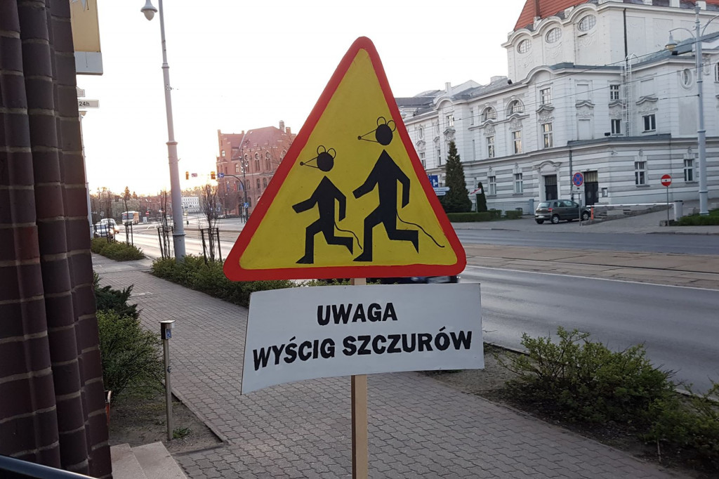 Nietypowe znaki w centrum miasta