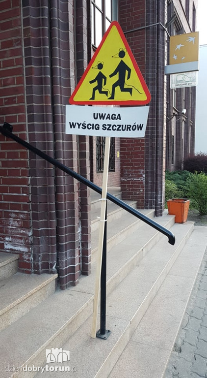 Nietypowe znaki w centrum miasta