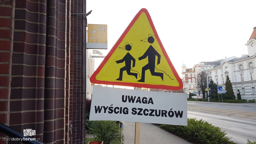 Nietypowe znaki w centrum miasta