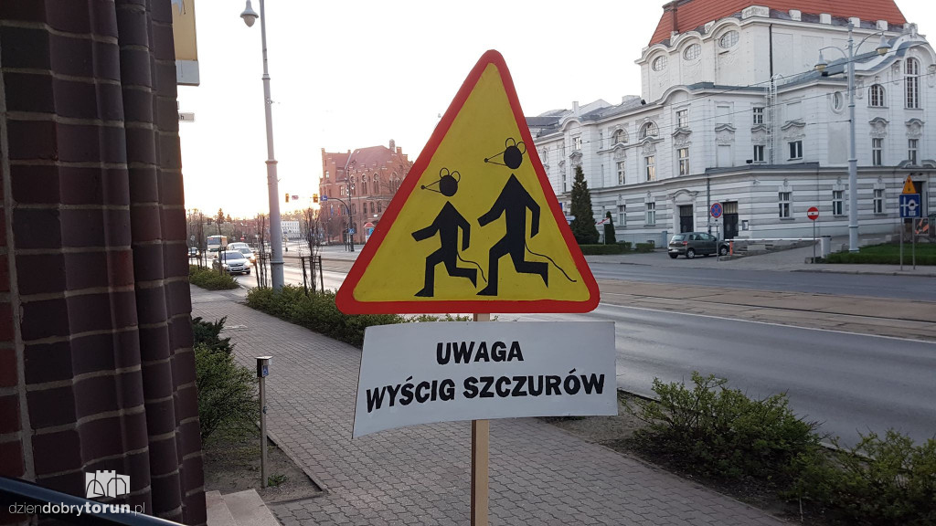 Nietypowe znaki w centrum miasta