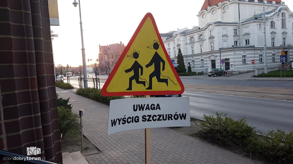 Nietypowe znaki w centrum miasta