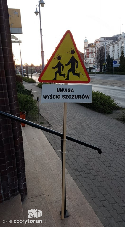 Nietypowe znaki w centrum miasta