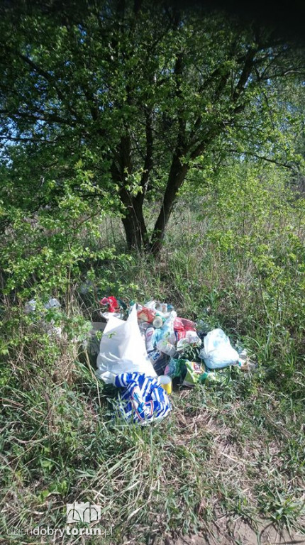 Śmieci przy przystani AZS