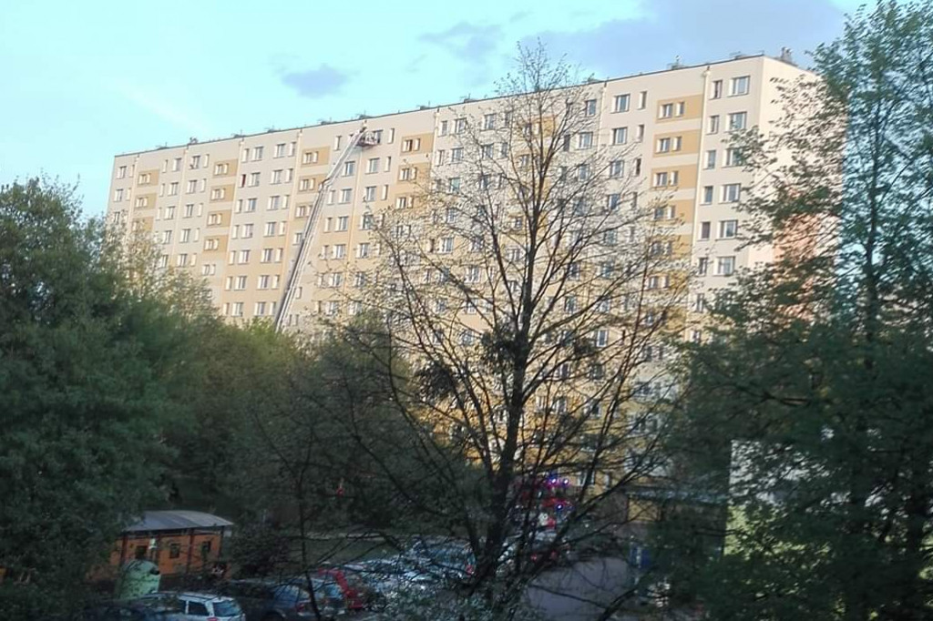 Policja i straż z interwencją na Rubinkowie