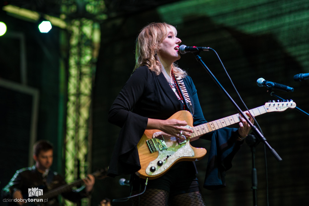 Koncert zespołu Pudelsi na starówce