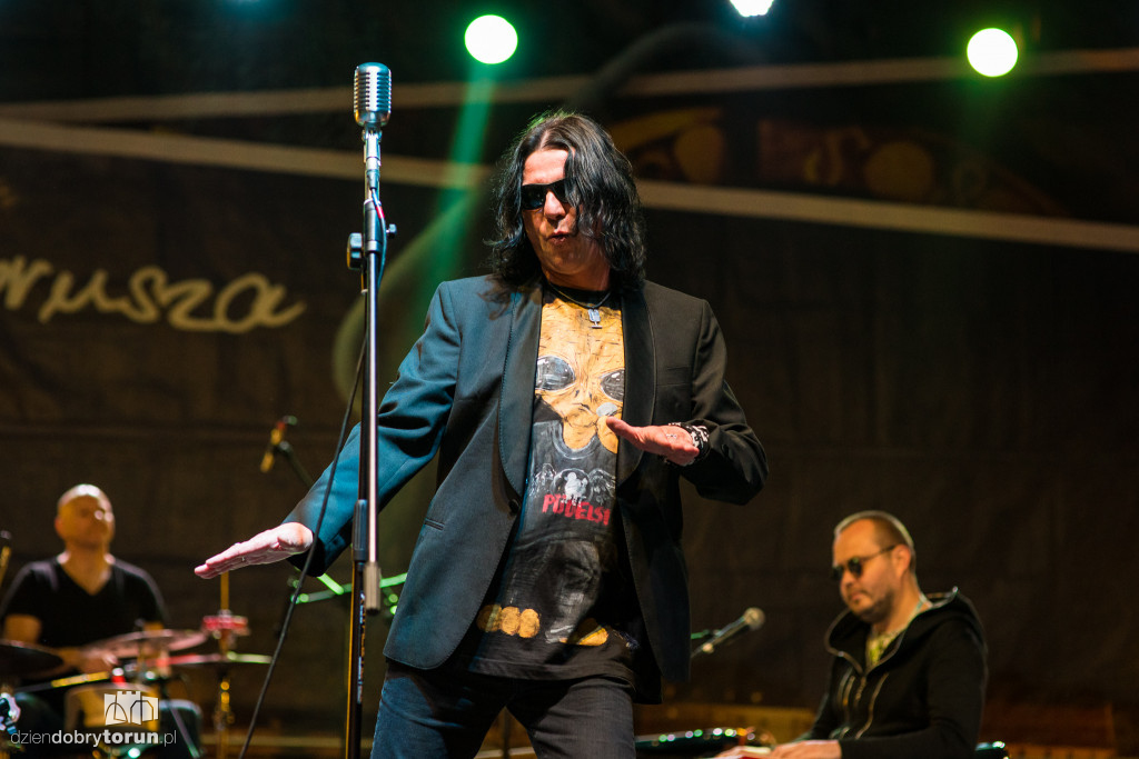Koncert zespołu Pudelsi na starówce