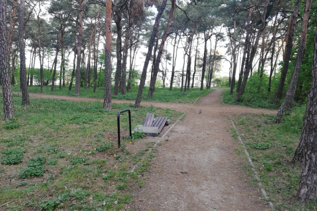 Zniszczono ławki w lasku na Bydgoskim
