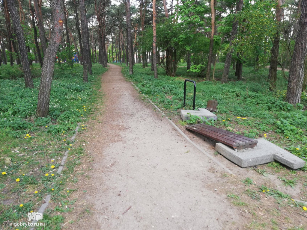 Zniszczono ławki w lasku na Bydgoskim