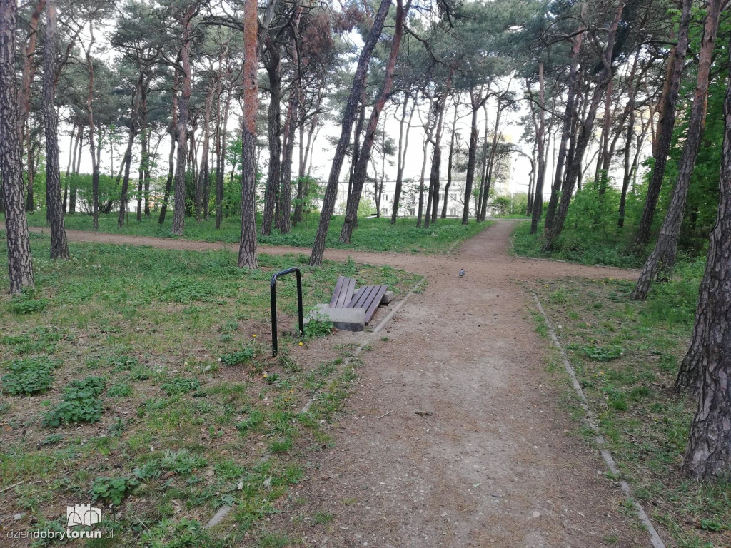 Zniszczono ławki w lasku na Bydgoskim