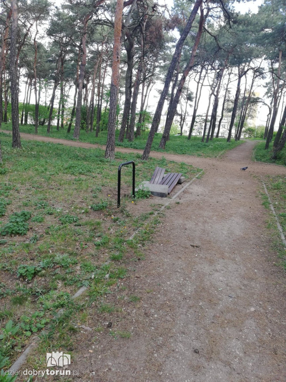 Zniszczono ławki w lasku na Bydgoskim