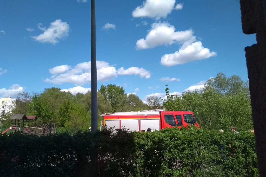 Pożar traw na toruńskim Grębocinie