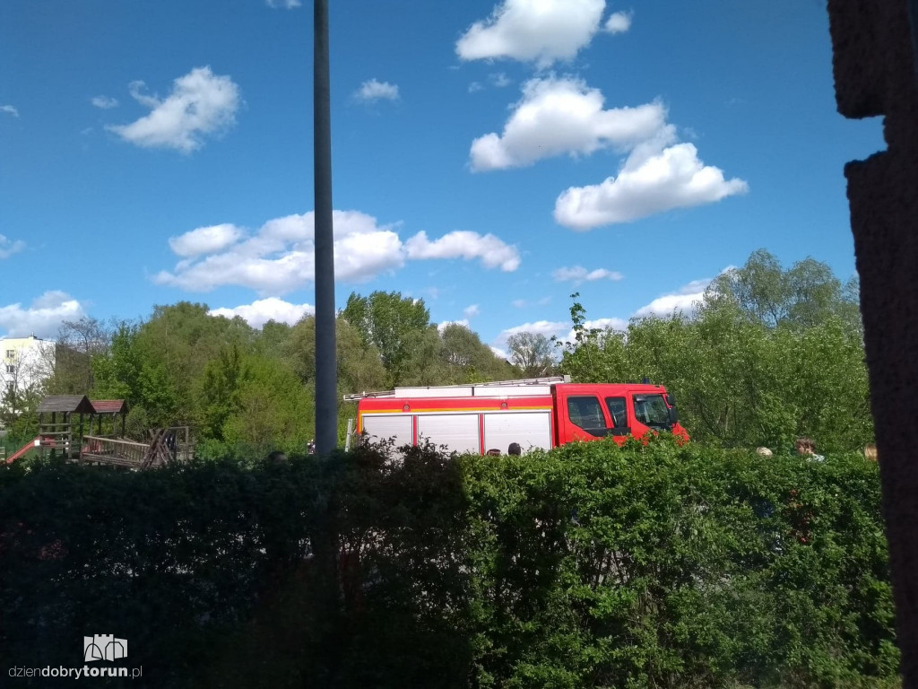 Pożar traw na toruńskim Grębocinie