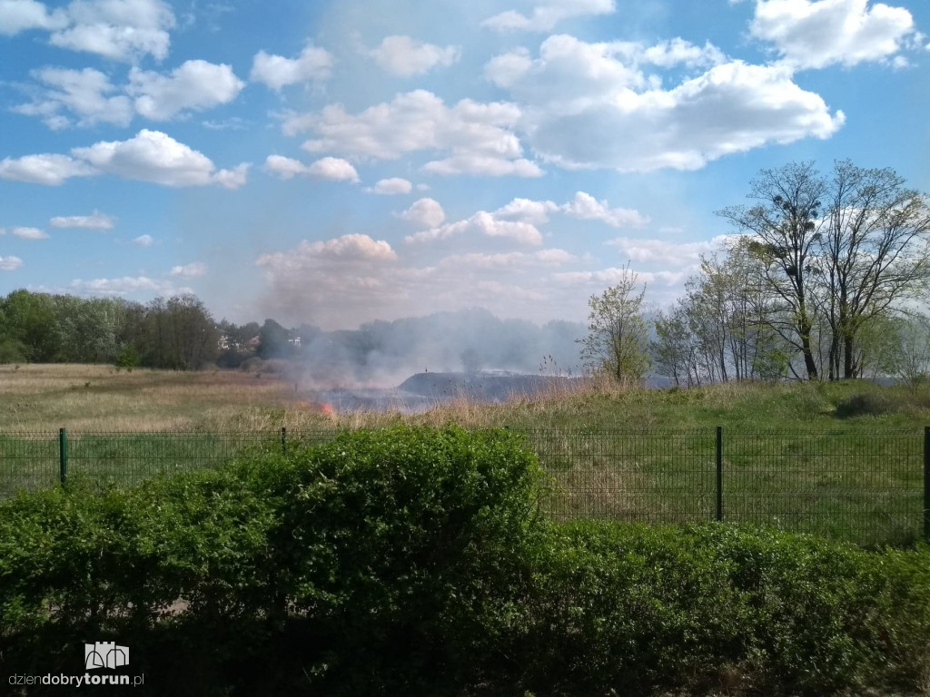 Pożar traw na toruńskim Grębocinie