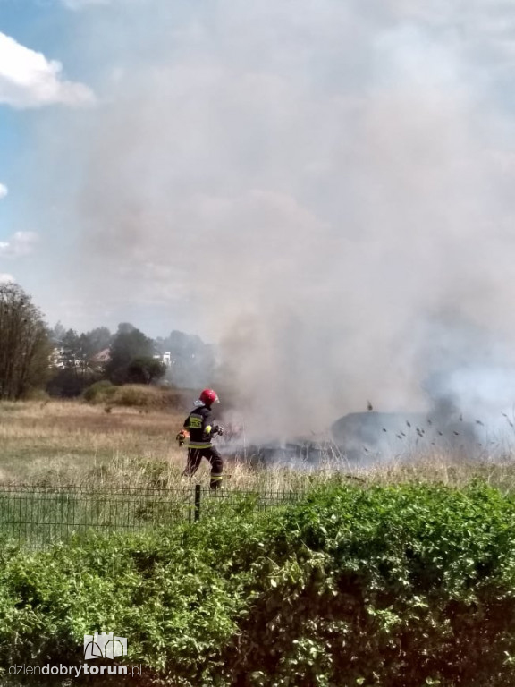 Pożar traw na toruńskim Grębocinie