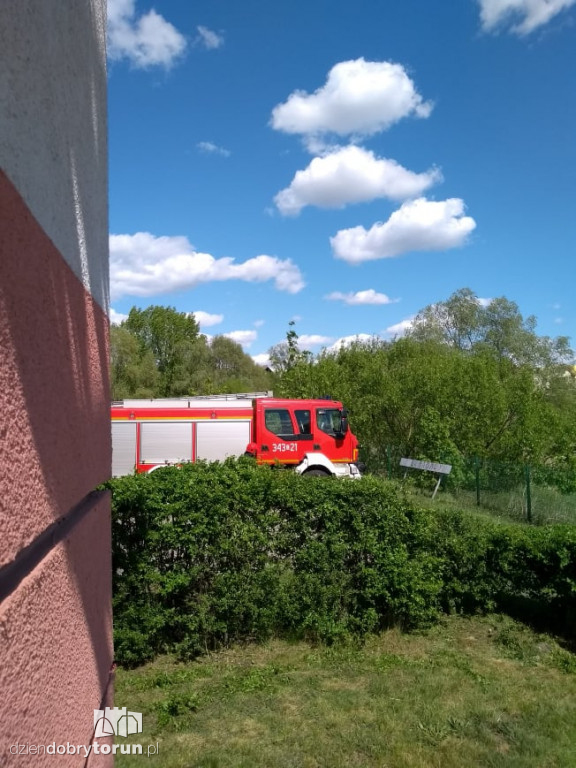 Pożar traw na toruńskim Grębocinie