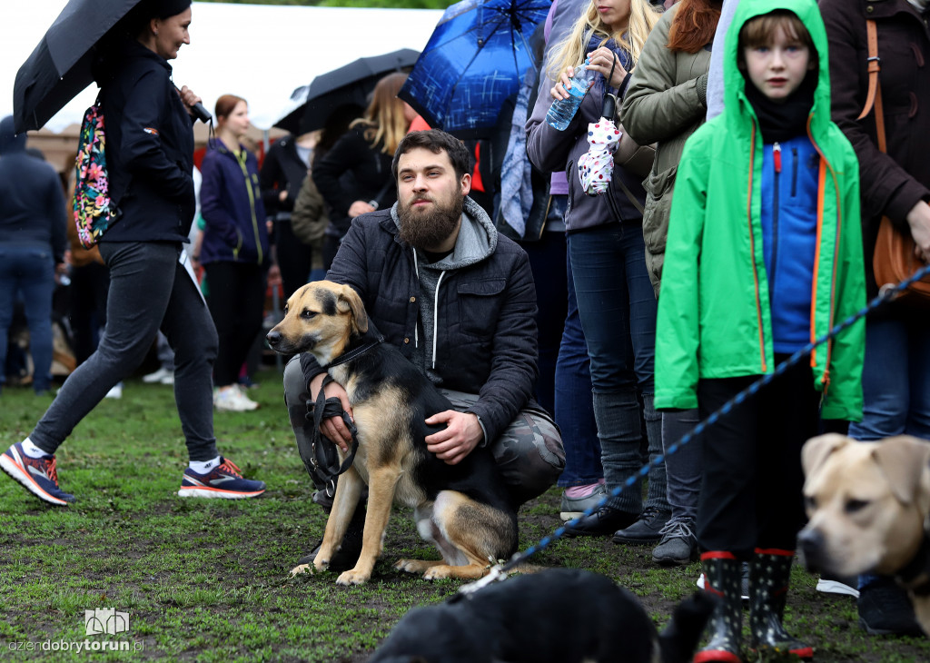 VII Piknik przyjaciół schroniska