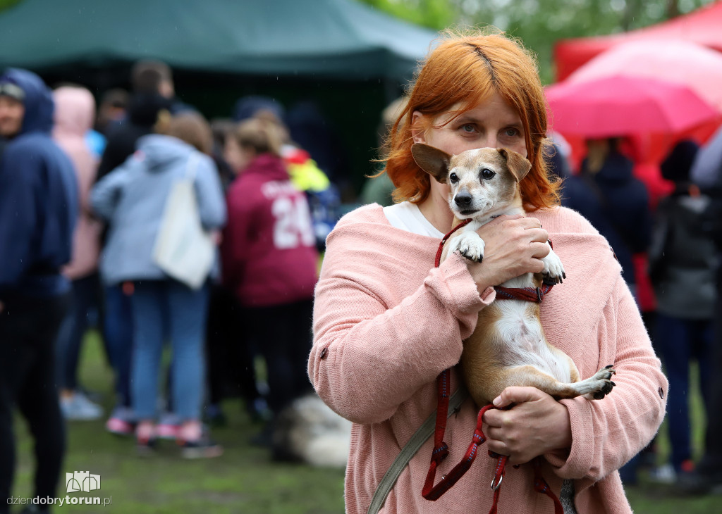 VII Piknik przyjaciół schroniska