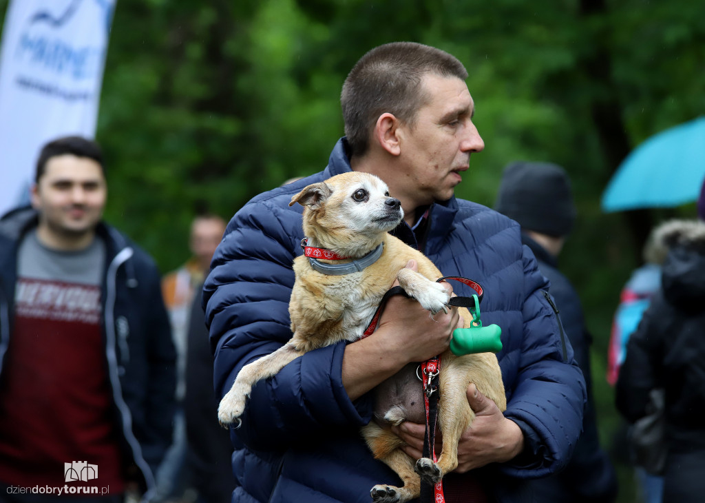 VII Piknik przyjaciół schroniska