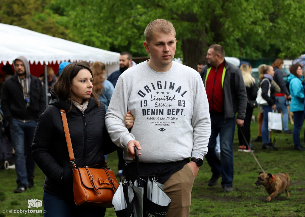 VII Piknik przyjaciół schroniska