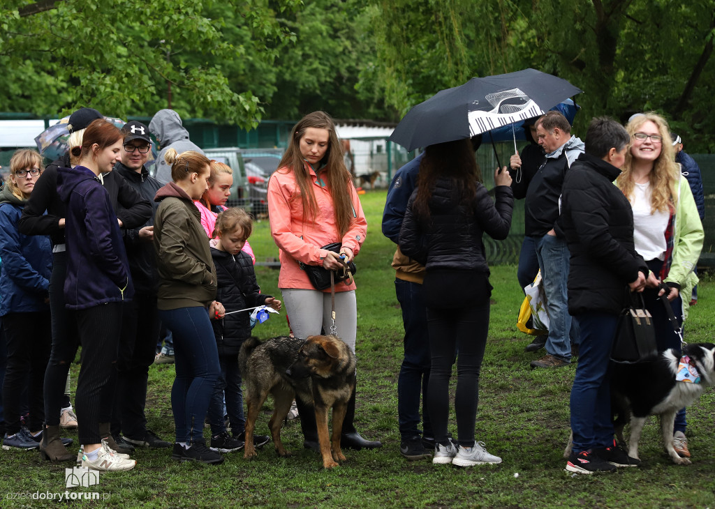 VII Piknik przyjaciół schroniska