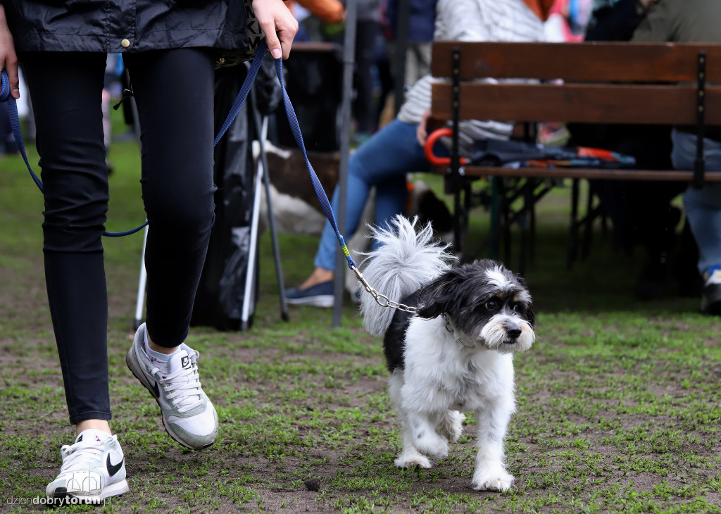 VII Piknik przyjaciół schroniska