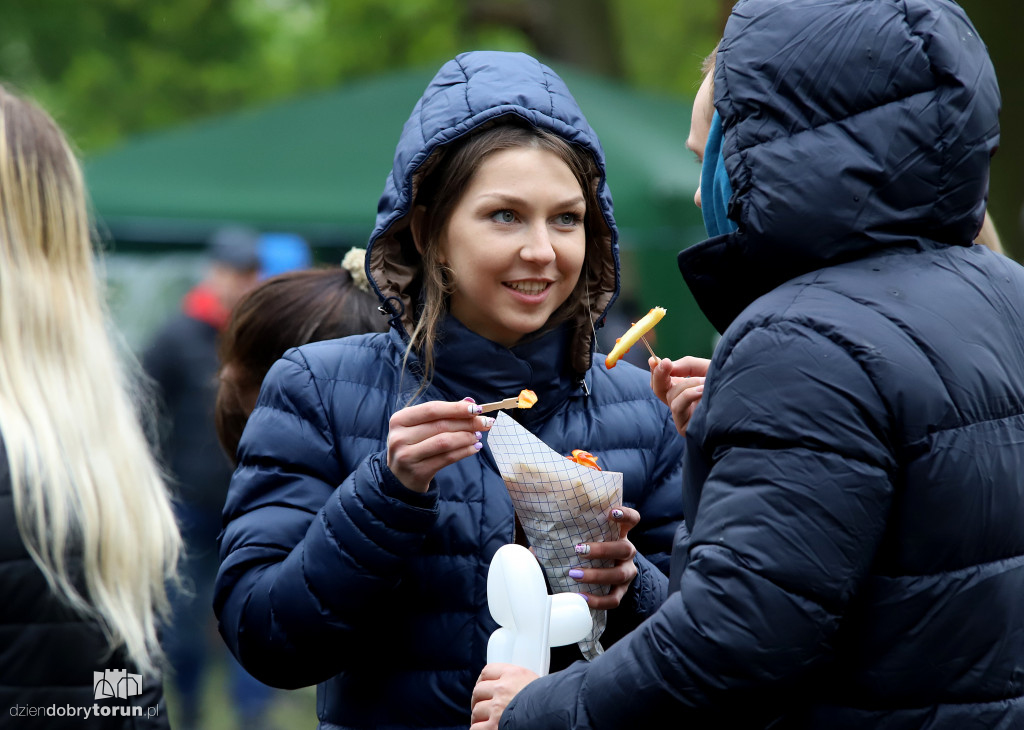 VII Piknik przyjaciół schroniska
