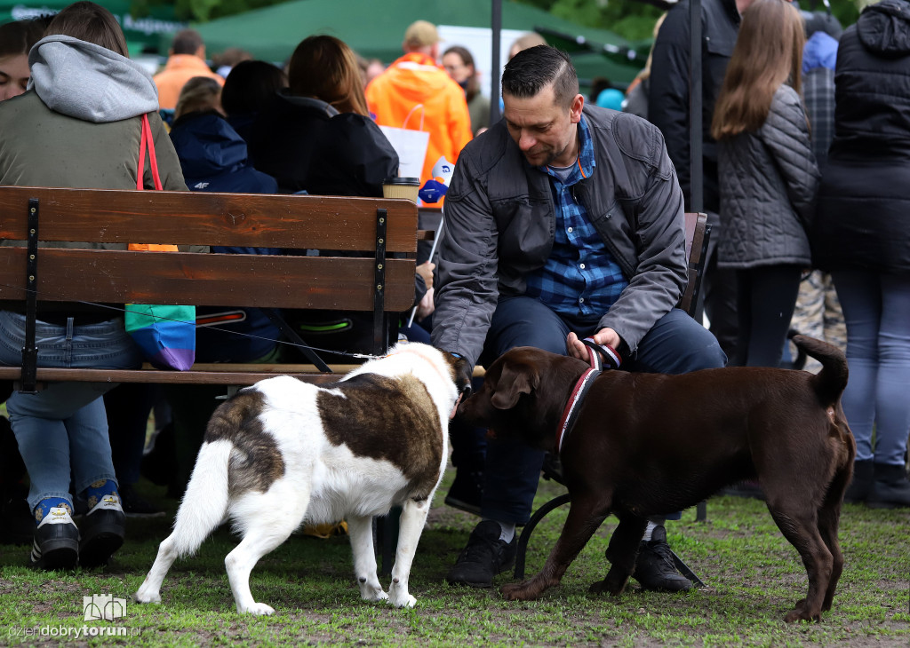VII Piknik przyjaciół schroniska