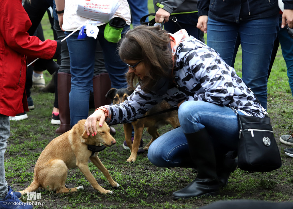 VII Piknik przyjaciół schroniska