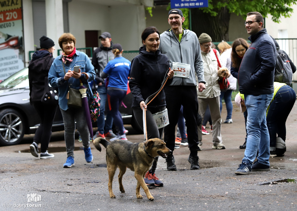 VII Piknik przyjaciół schroniska