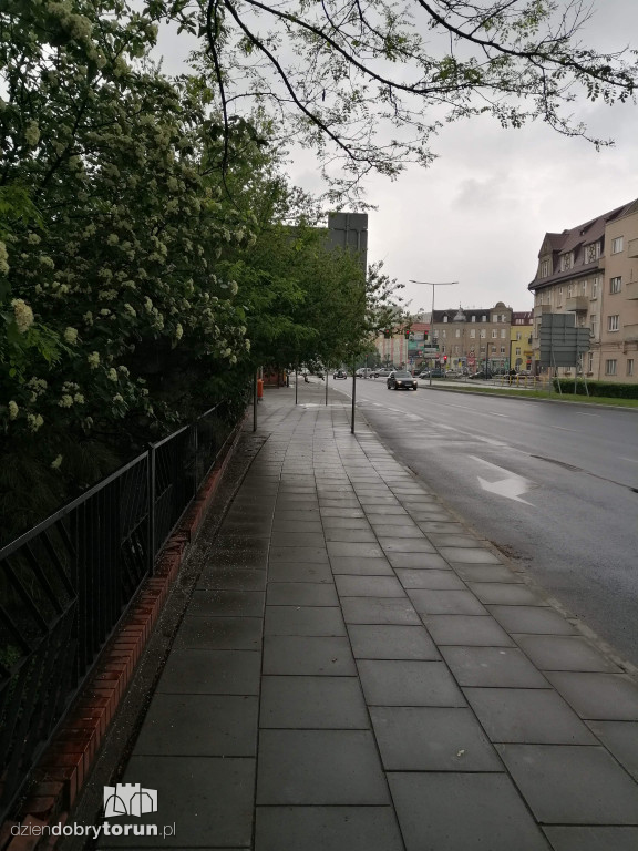Gałęzie przeszkadzają przechodniom