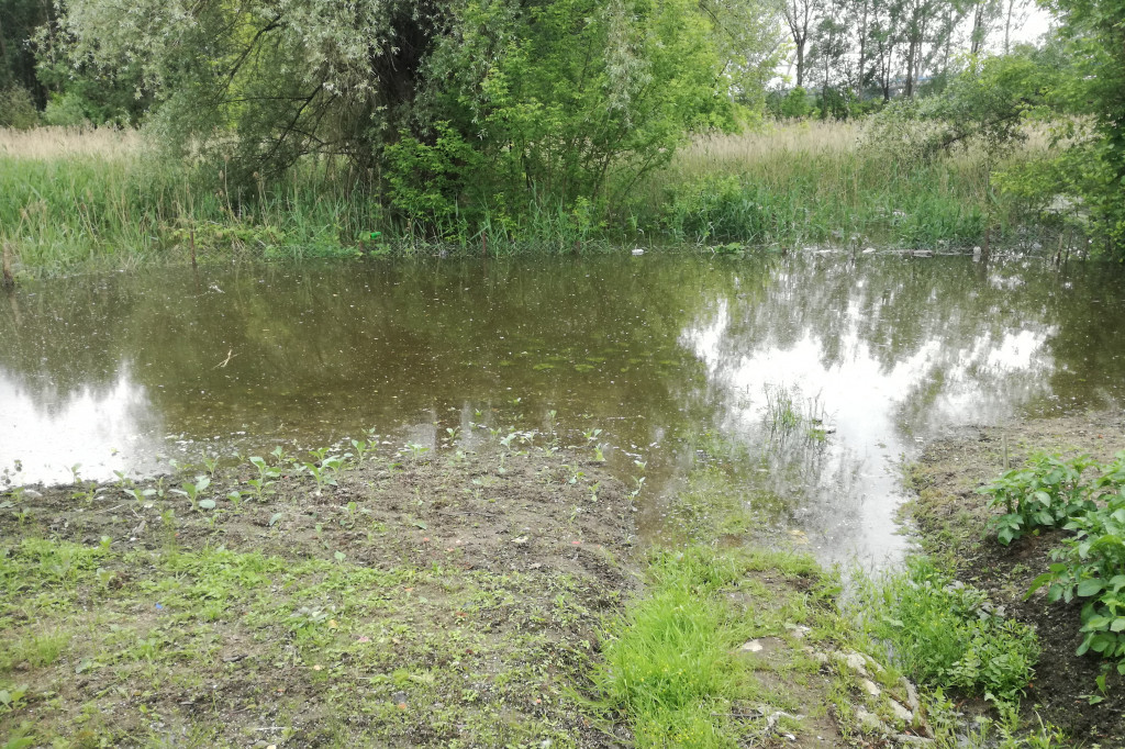 Działki na Winnicy zalane przez Wisłę