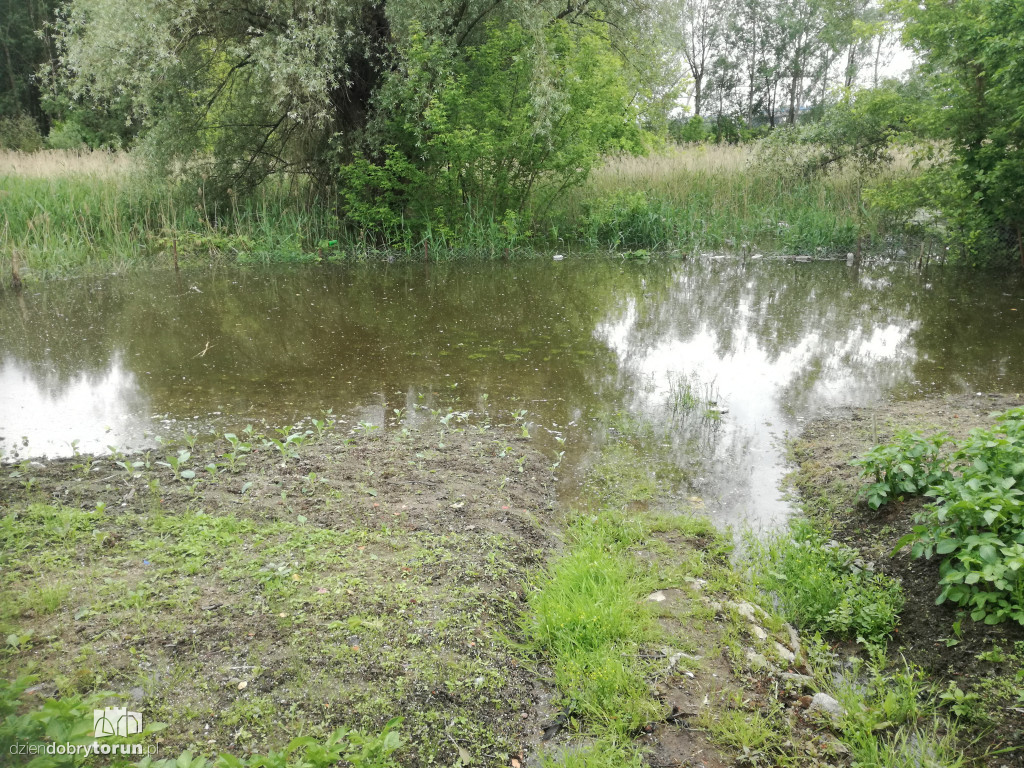 Działki na Winnicy zalane przez Wisłę