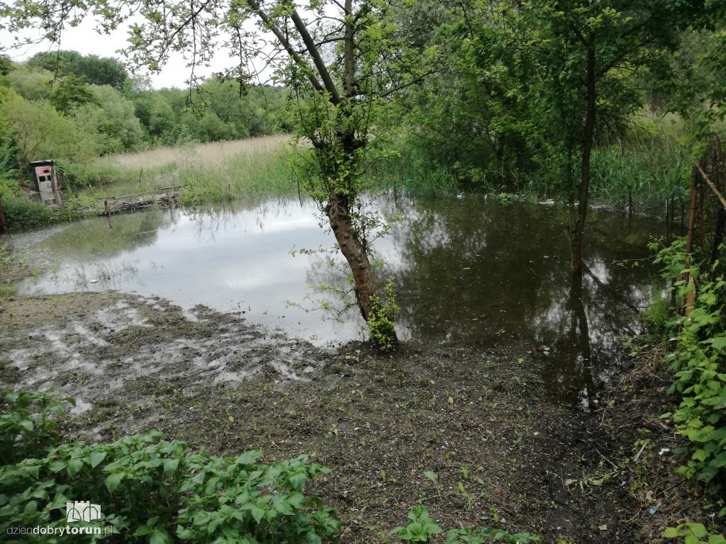 Działki na Winnicy zalane przez Wisłę