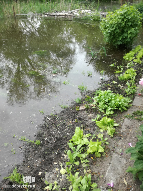 Działki na Winnicy zalane przez Wisłę