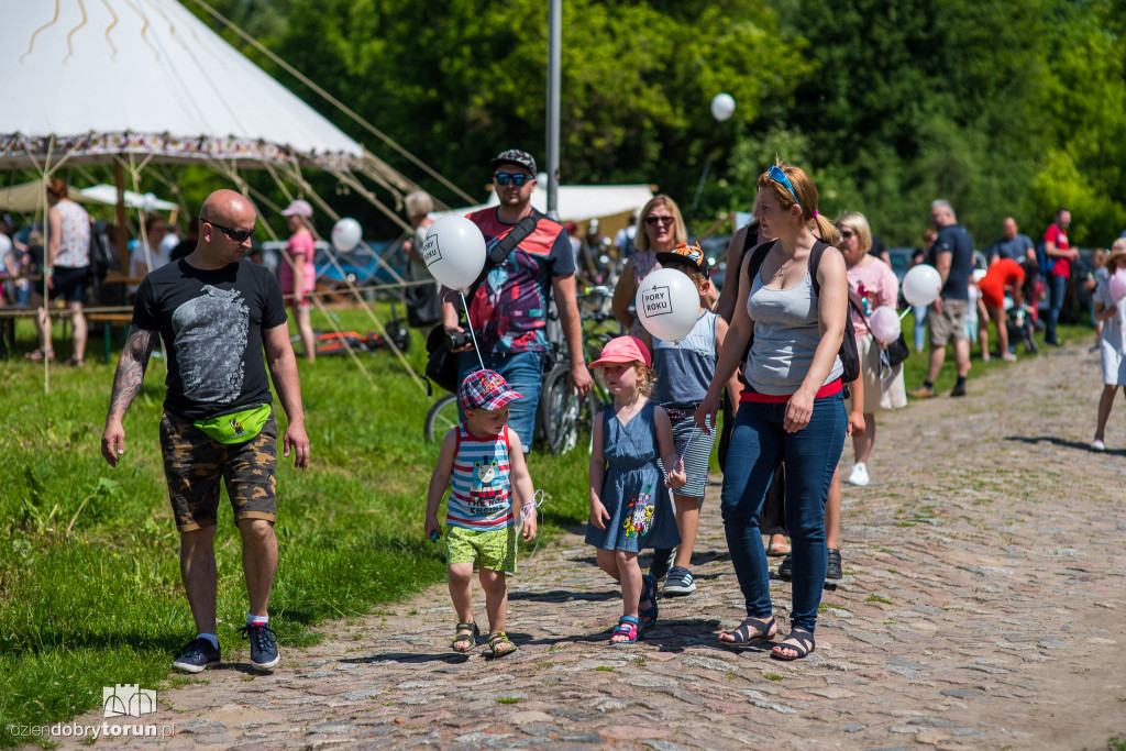 Festyn na Zamku Dybowskim