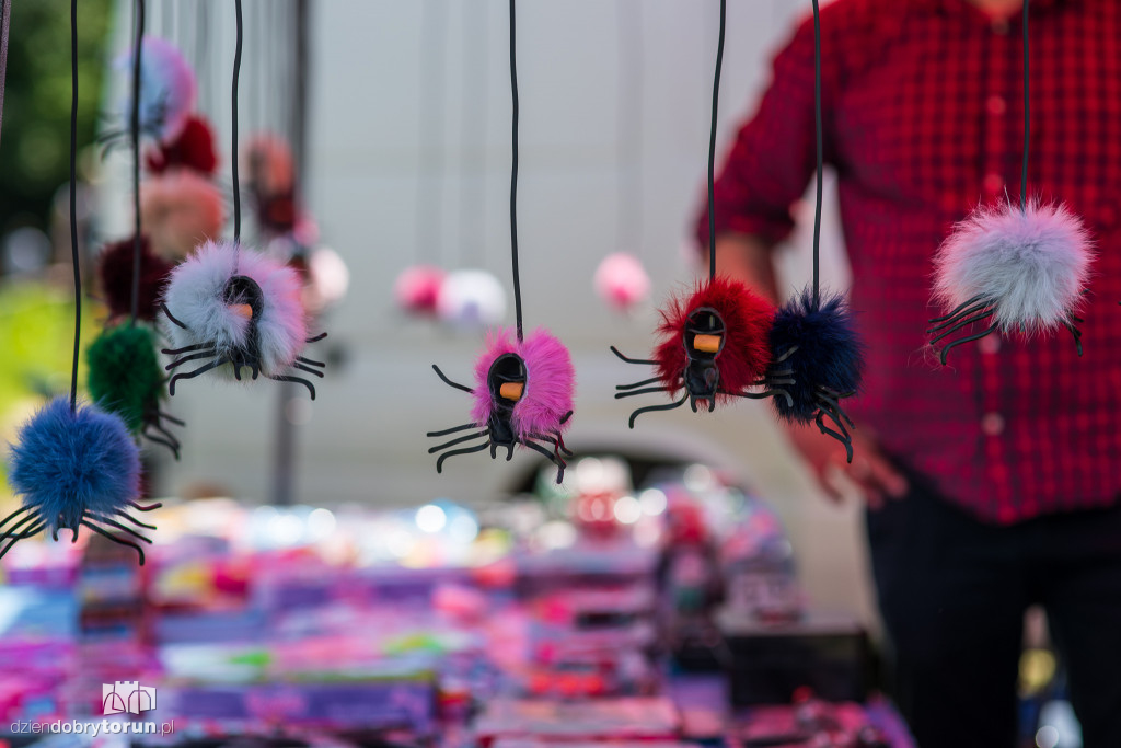 Festyn na Zamku Dybowskim